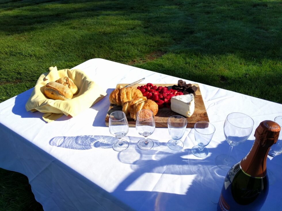 Hot air balloon champagne toast