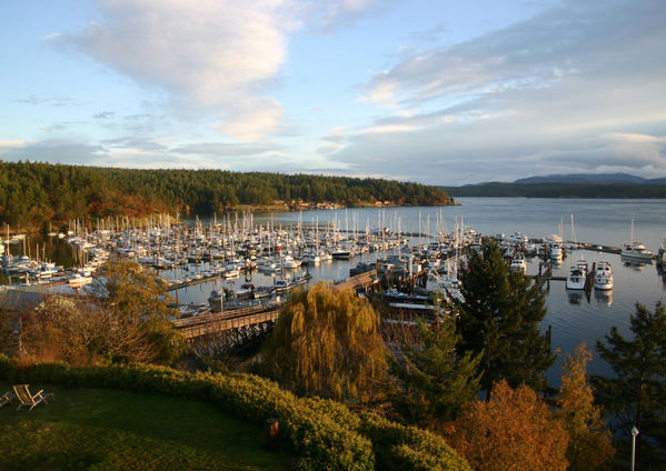 islands friday harbor